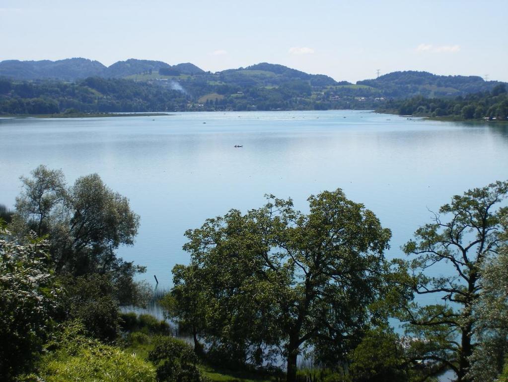 לינה וארוחת בוקר Lepin-le-Lac La Clairiere Du Moulin מראה חיצוני תמונה